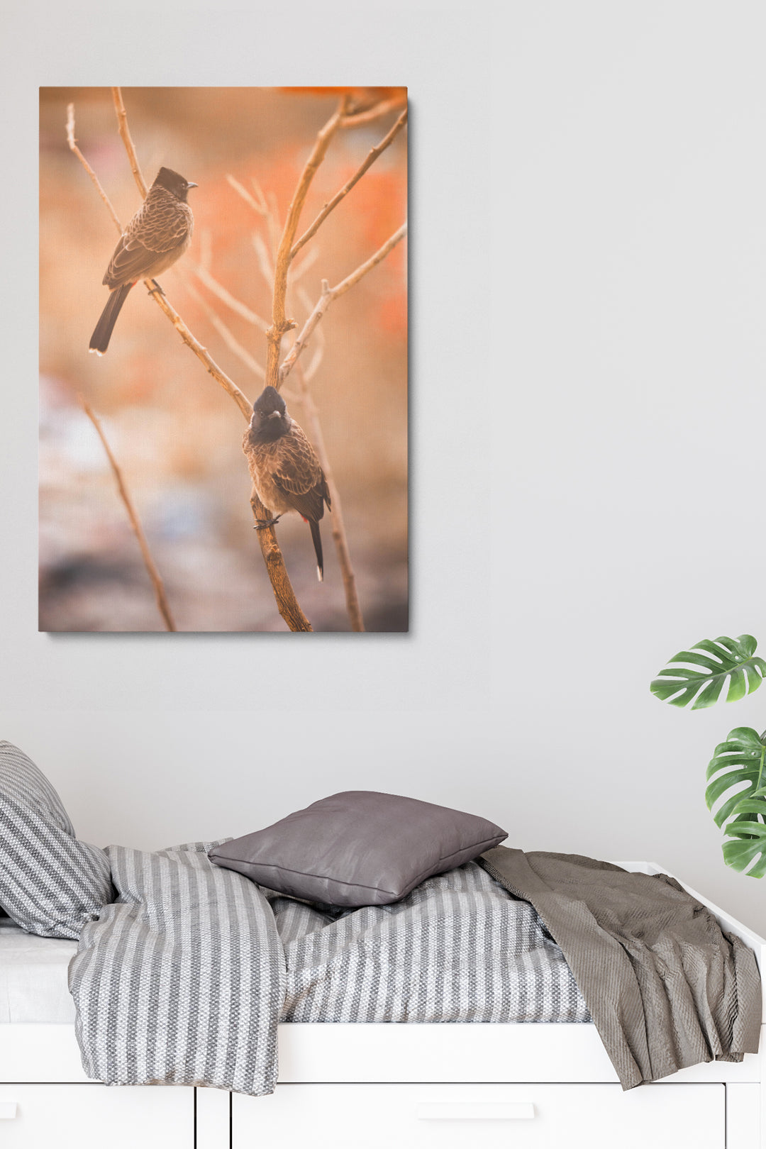 Birds Focus