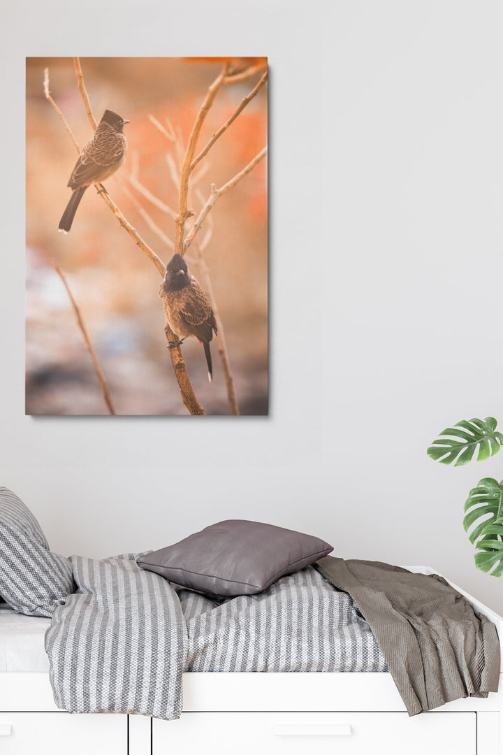 Birds Focus