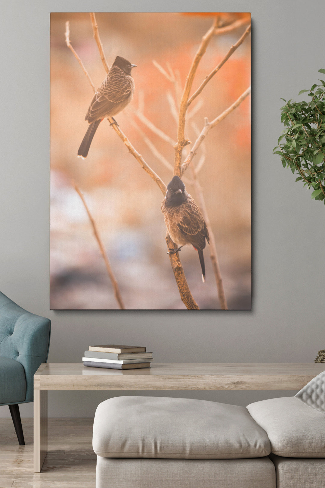 Birds Focus