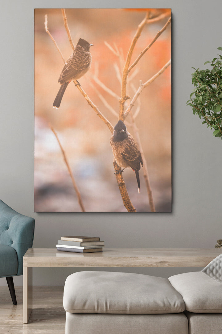 Birds Focus