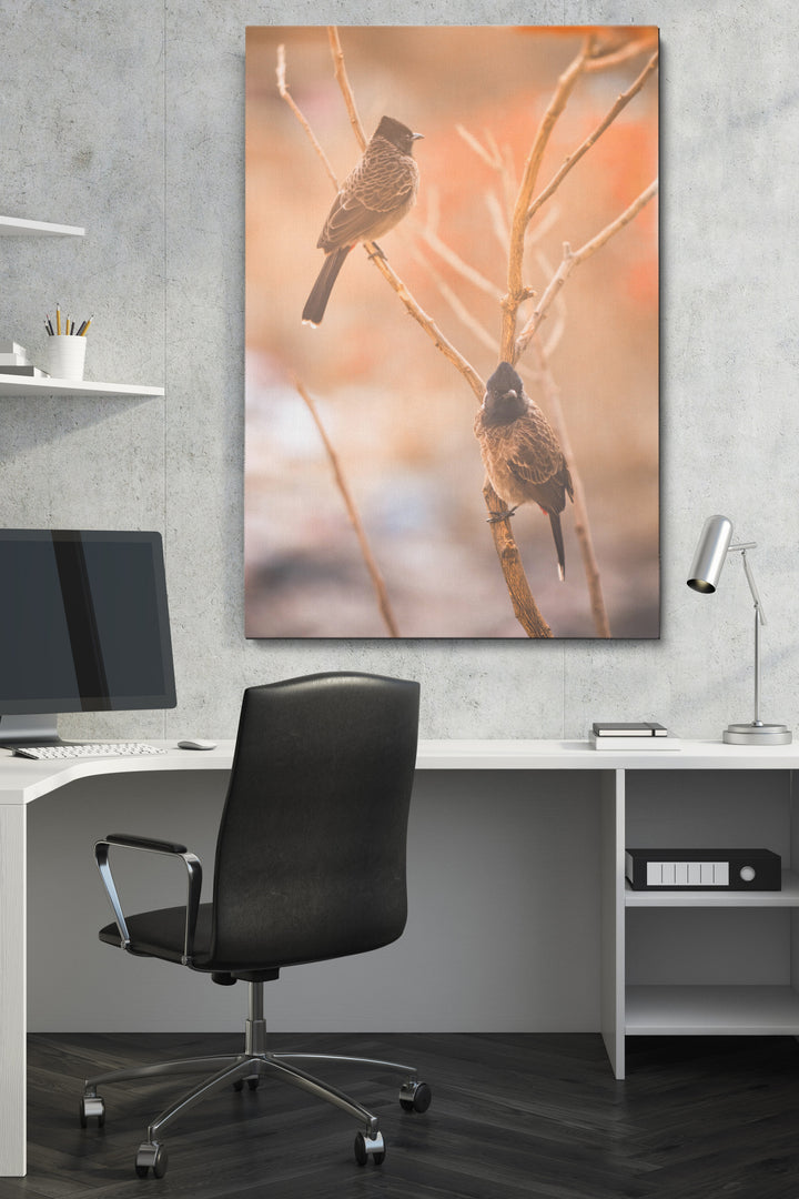 Birds Focus