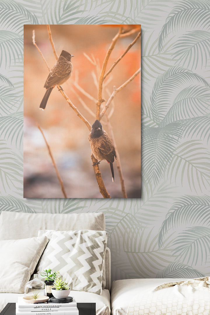 Birds Focus