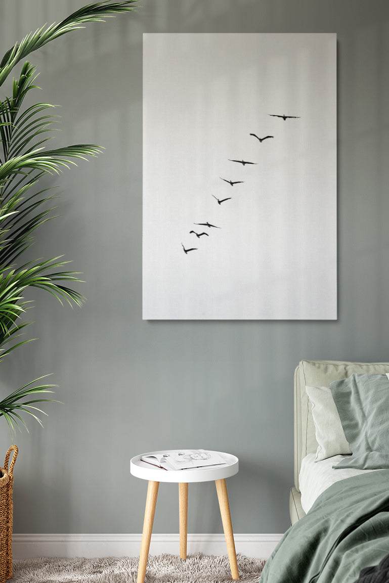 Birds Silhouette