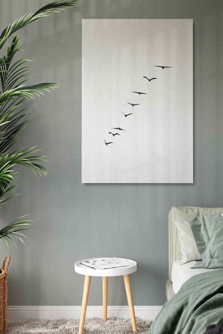 Birds Silhouette