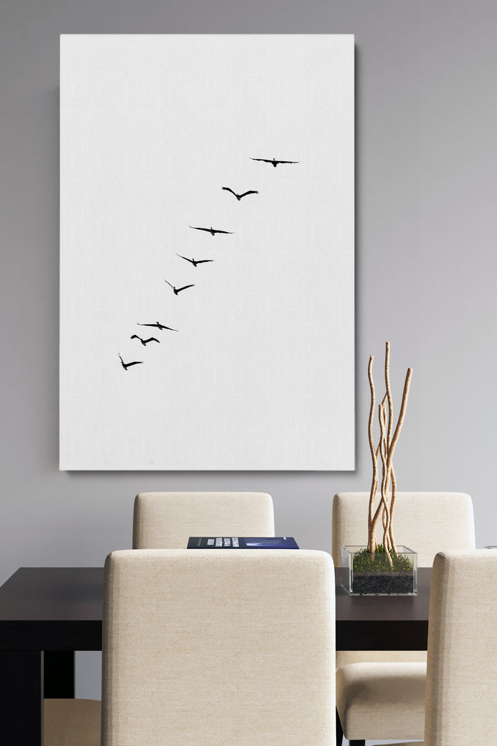 Birds Silhouette