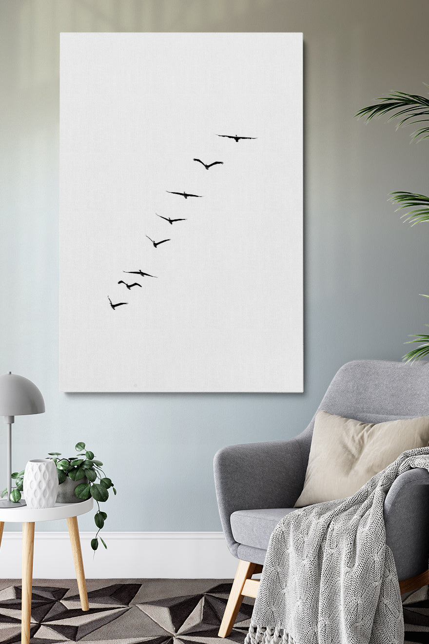 Birds Silhouette
