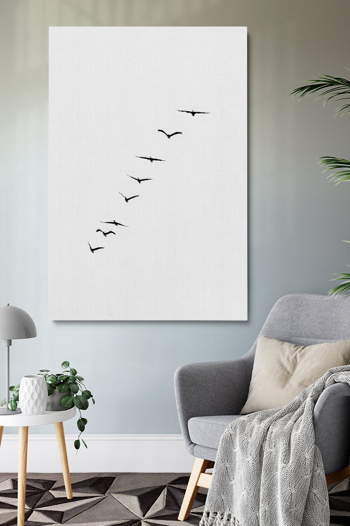 Birds Silhouette