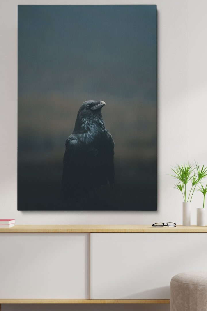 Schwarze Krähe