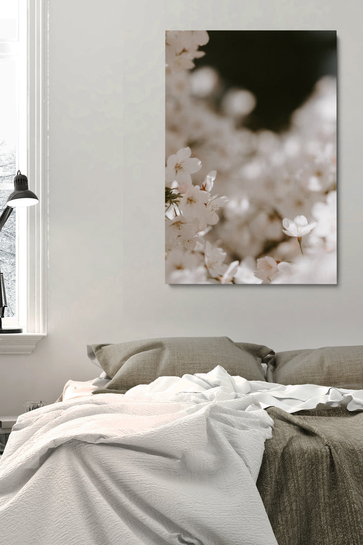 Blooming Cherry Flowers