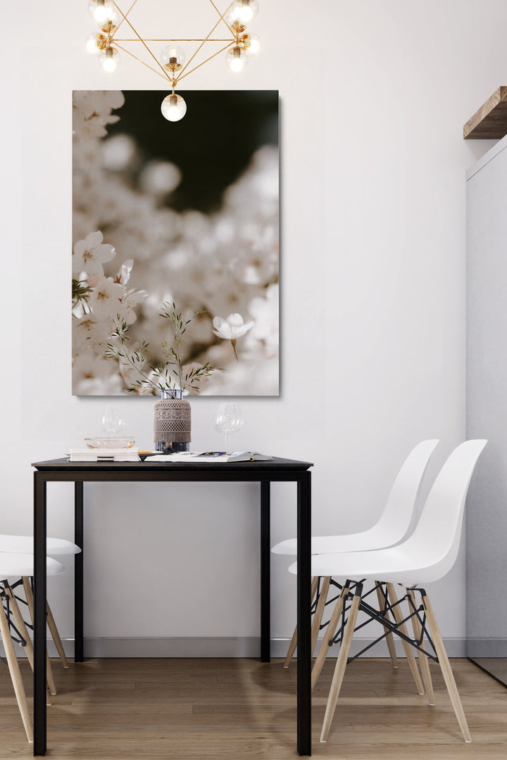 Blooming Cherry Flowers