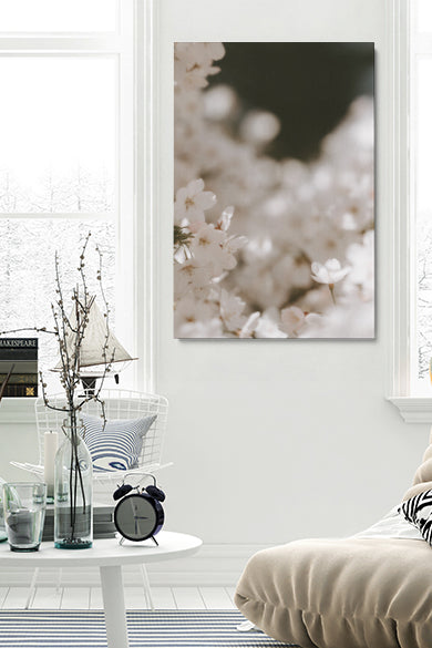 Blooming Cherry Flowers