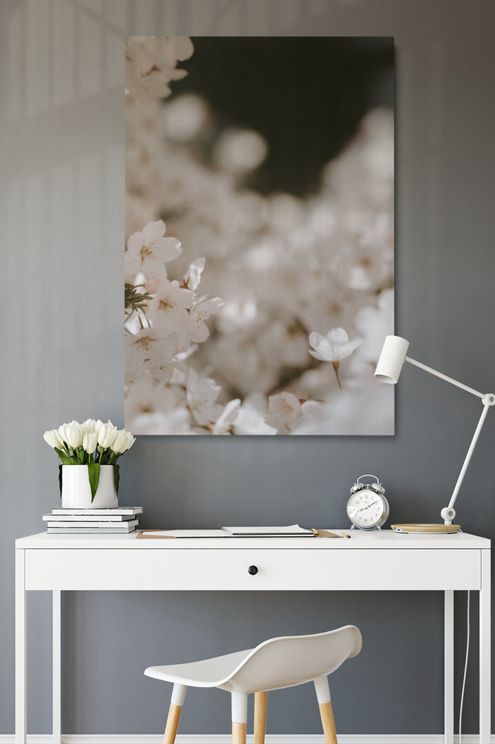 Blooming Cherry Flowers