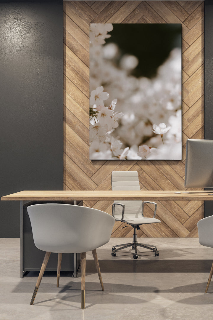 Blooming Cherry Flowers