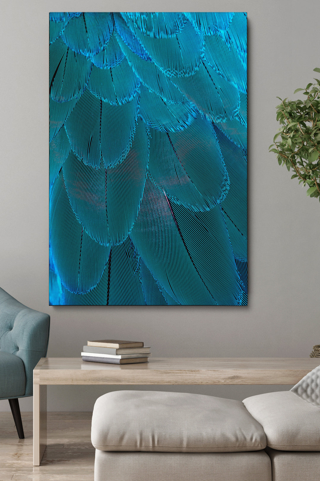 Blue Macaw