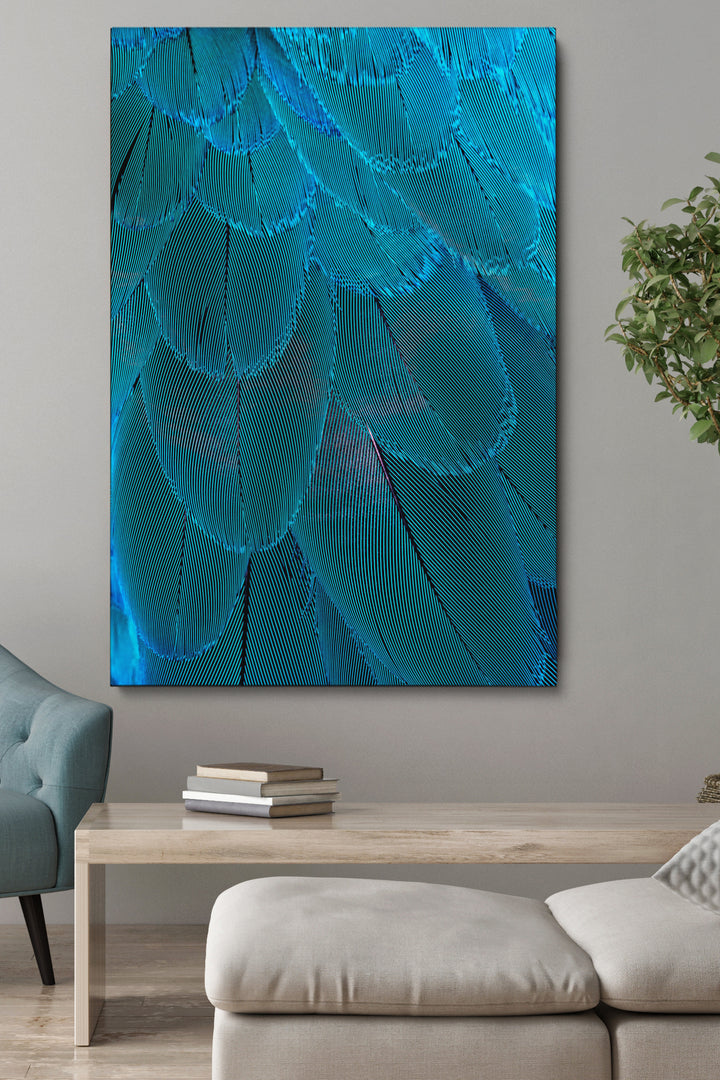 Blue Macaw
