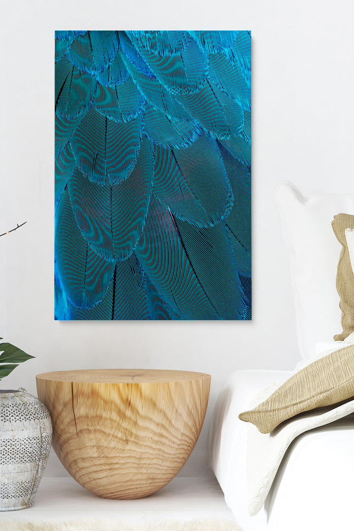 Blue Macaw