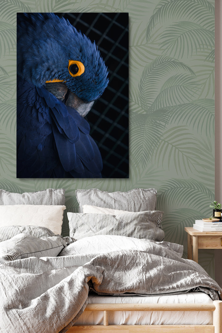 Blue Parrot
