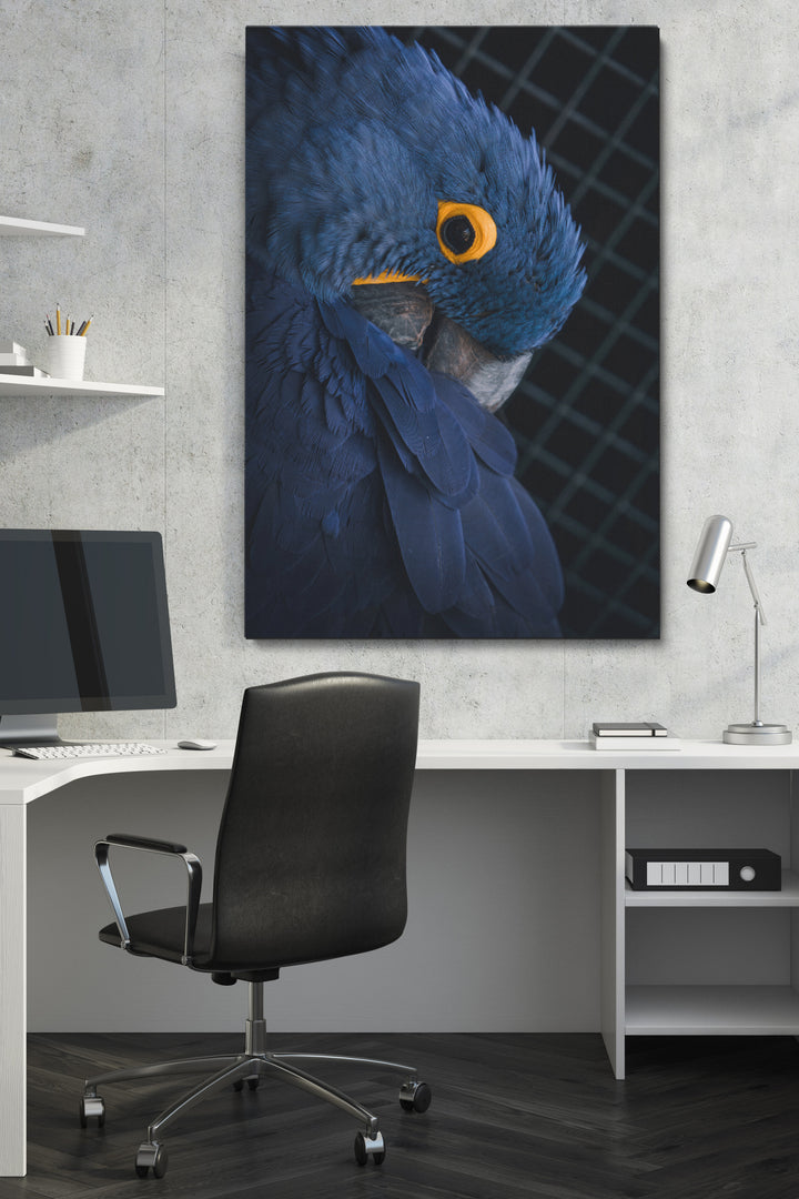 Blue Parrot