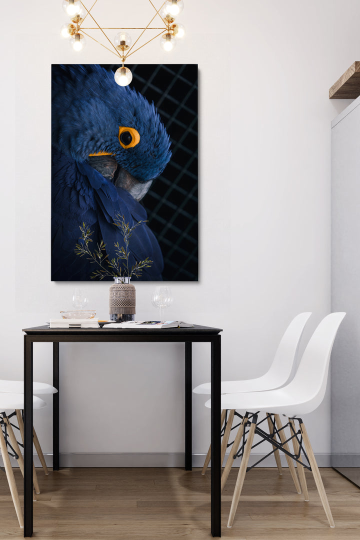 Blue Parrot