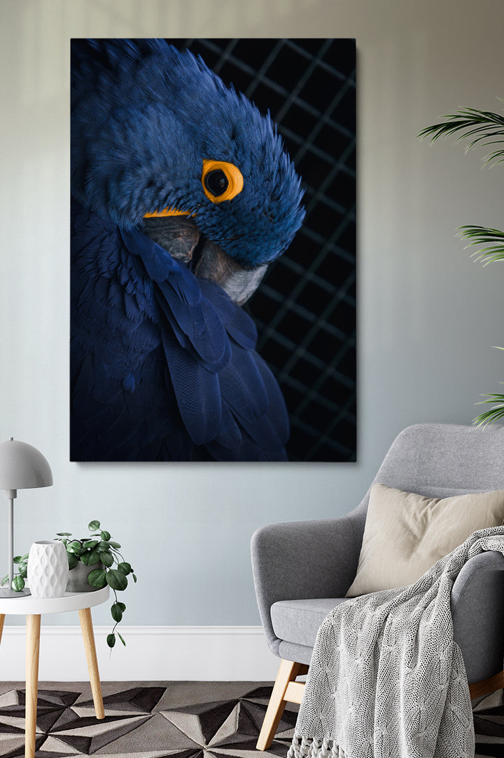 Blue Parrot