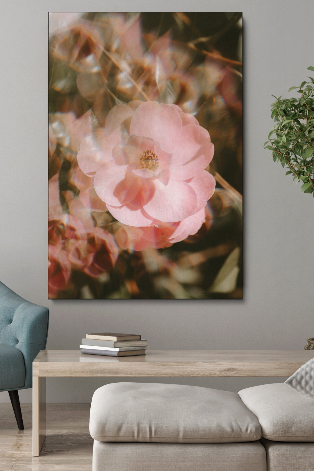 Blur Blooming Rose