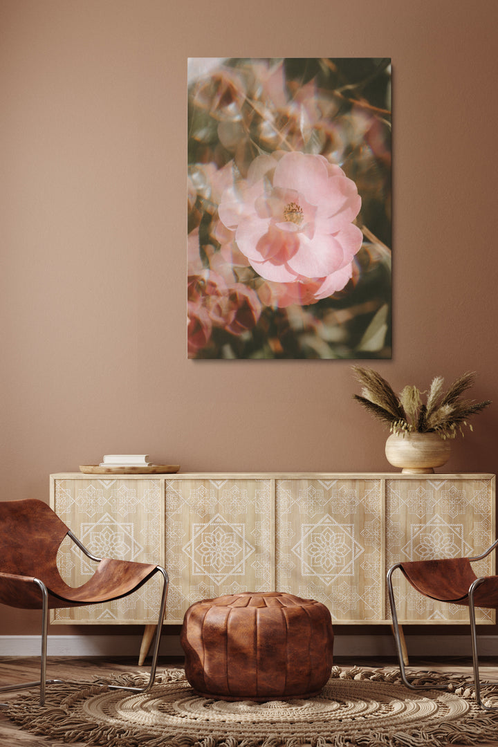 Blur Blooming Rose