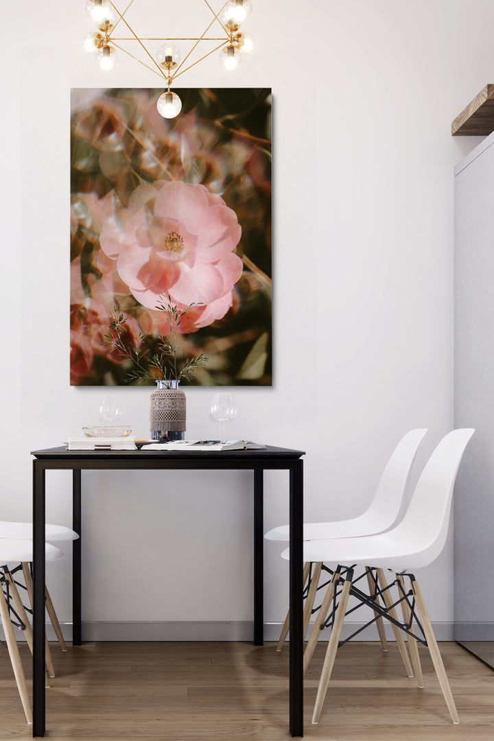 Blur Blooming Rose