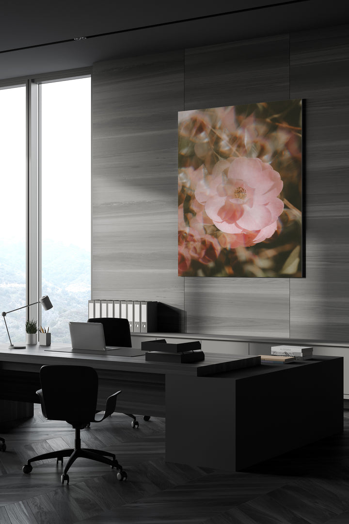 Blur Blooming Rose
