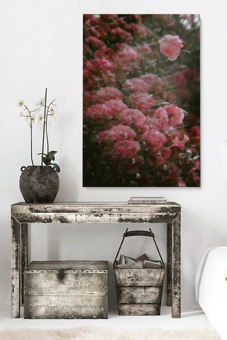 Verschwommene Rosen