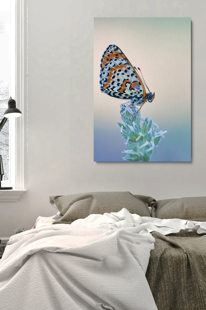Schmetterling essen