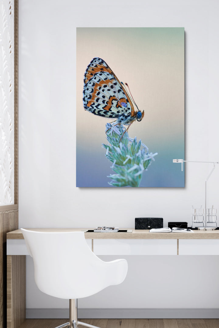 Schmetterling essen