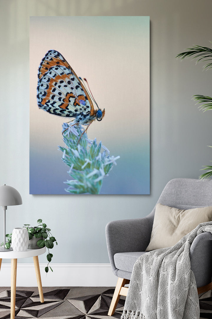 Schmetterling essen