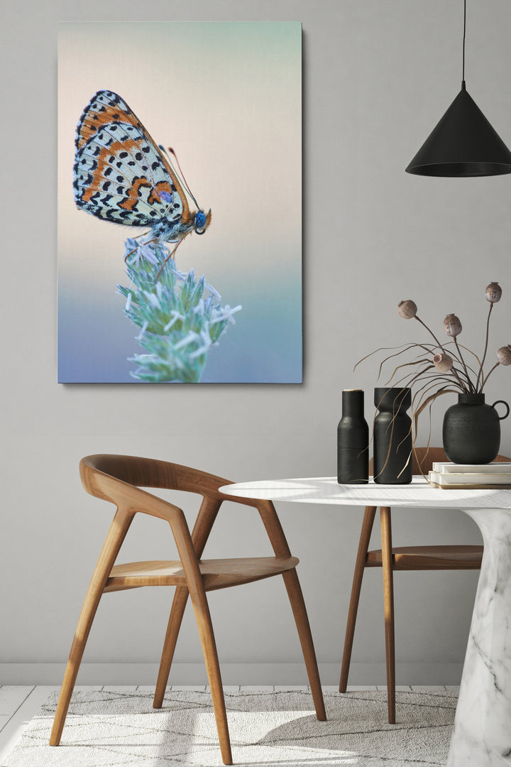 Schmetterling essen