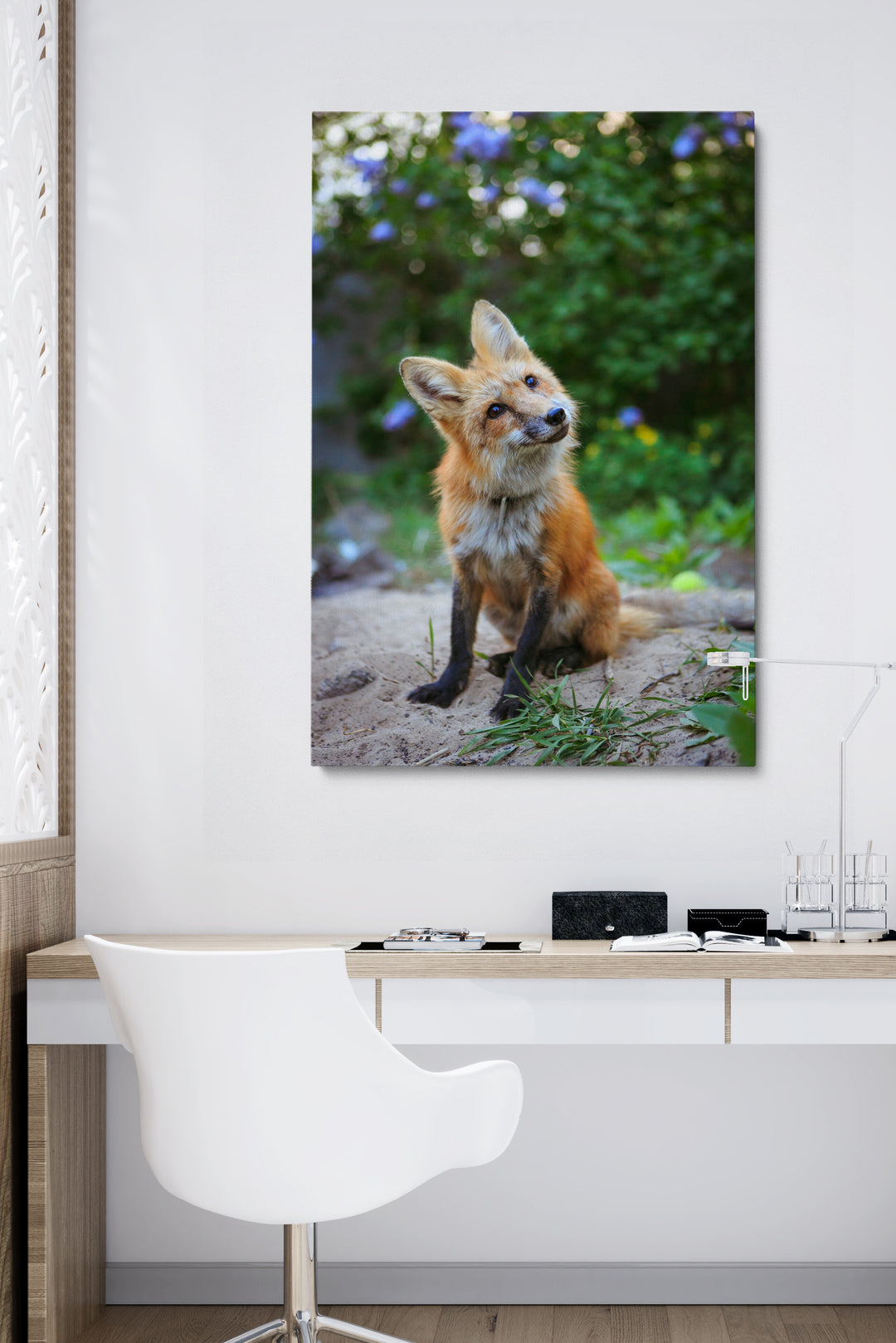 Curious Fox