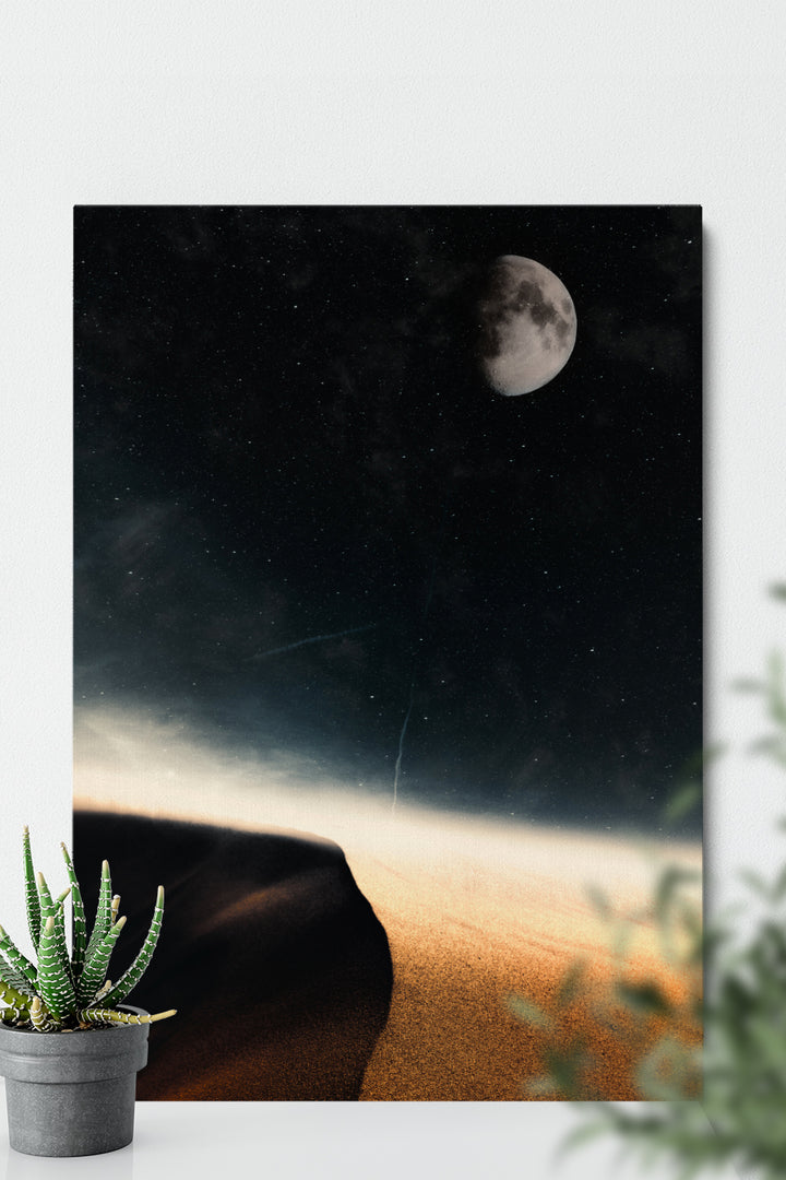 Desert Night