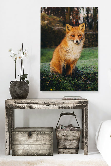 Divine Fox