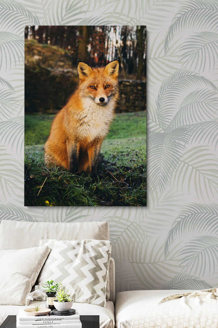 Divine Fox
