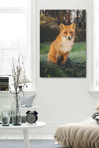 Divine Fox