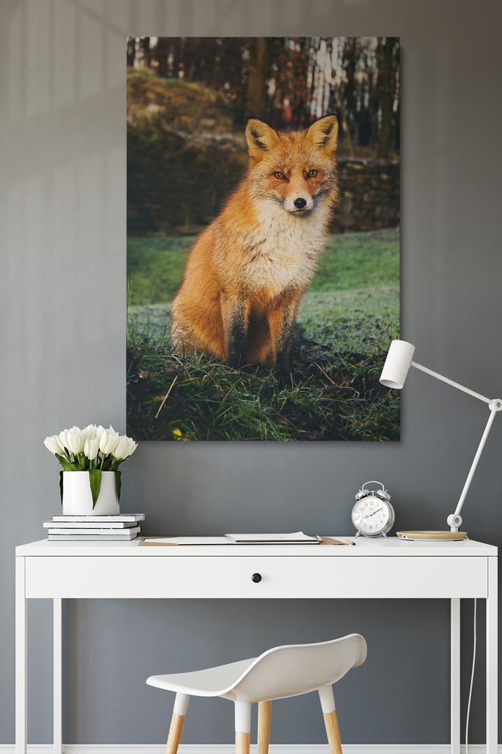 Divine Fox