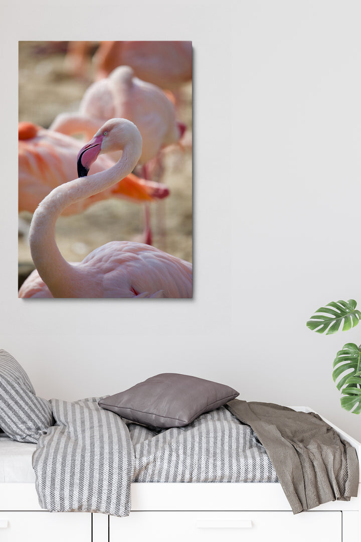 Flamingohals