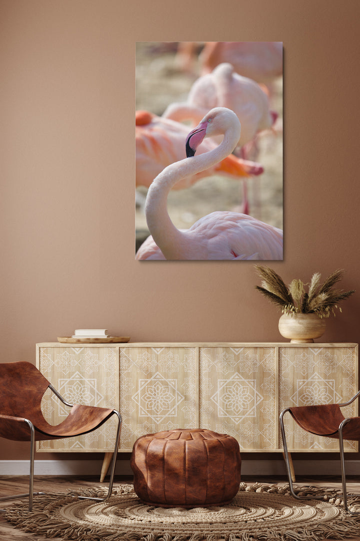 Flamingohals