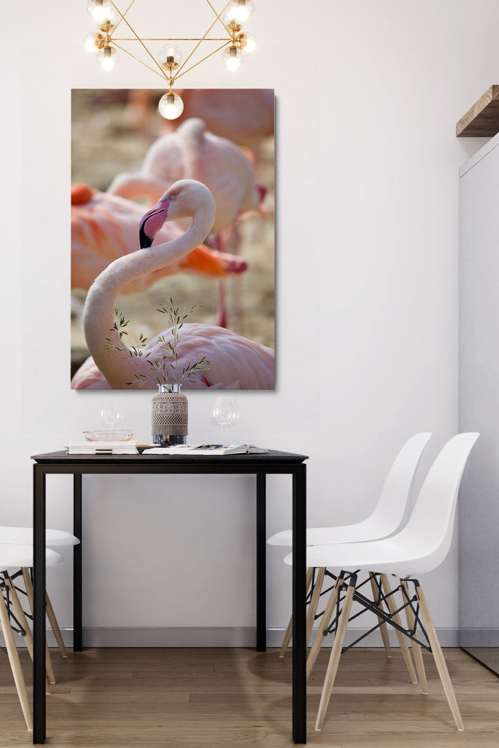 Flamingohals