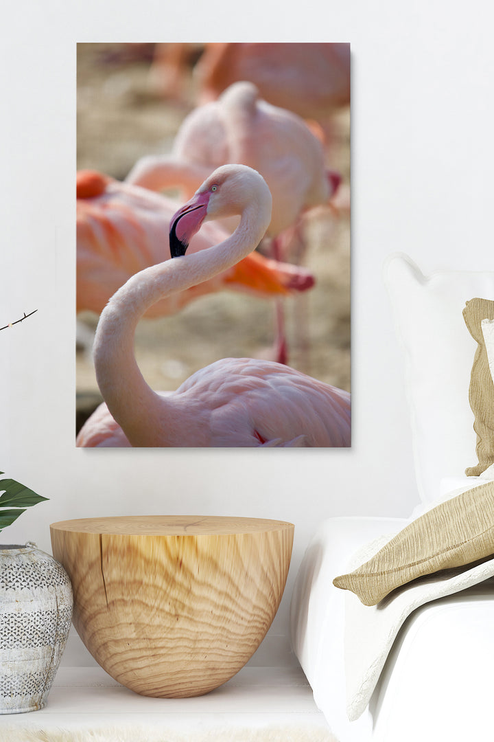 Flamingohals
