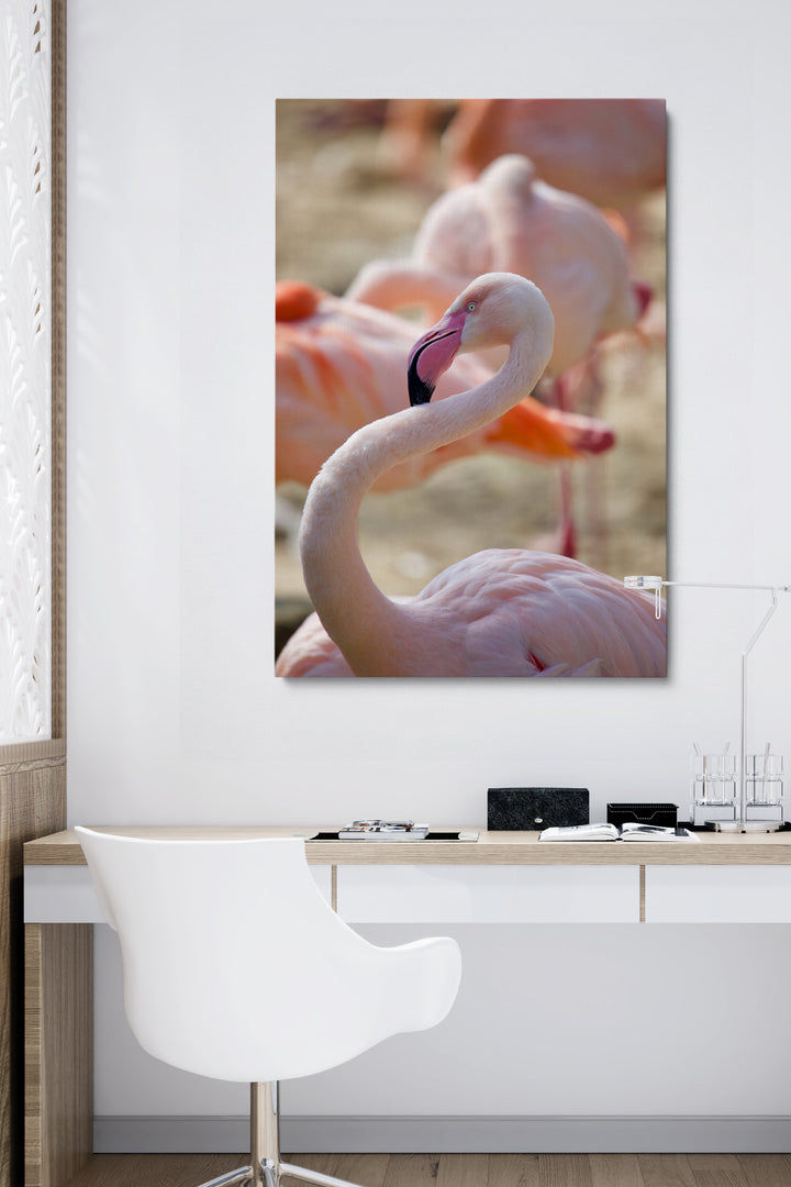 Flamingohals