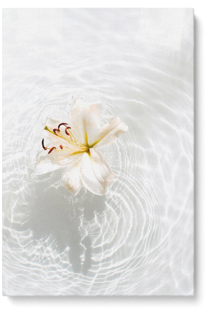 Floating Flowers