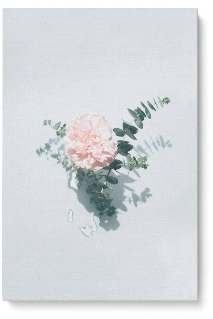 Floral Motives