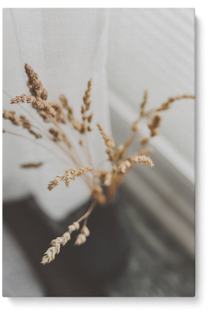 Focused Grass