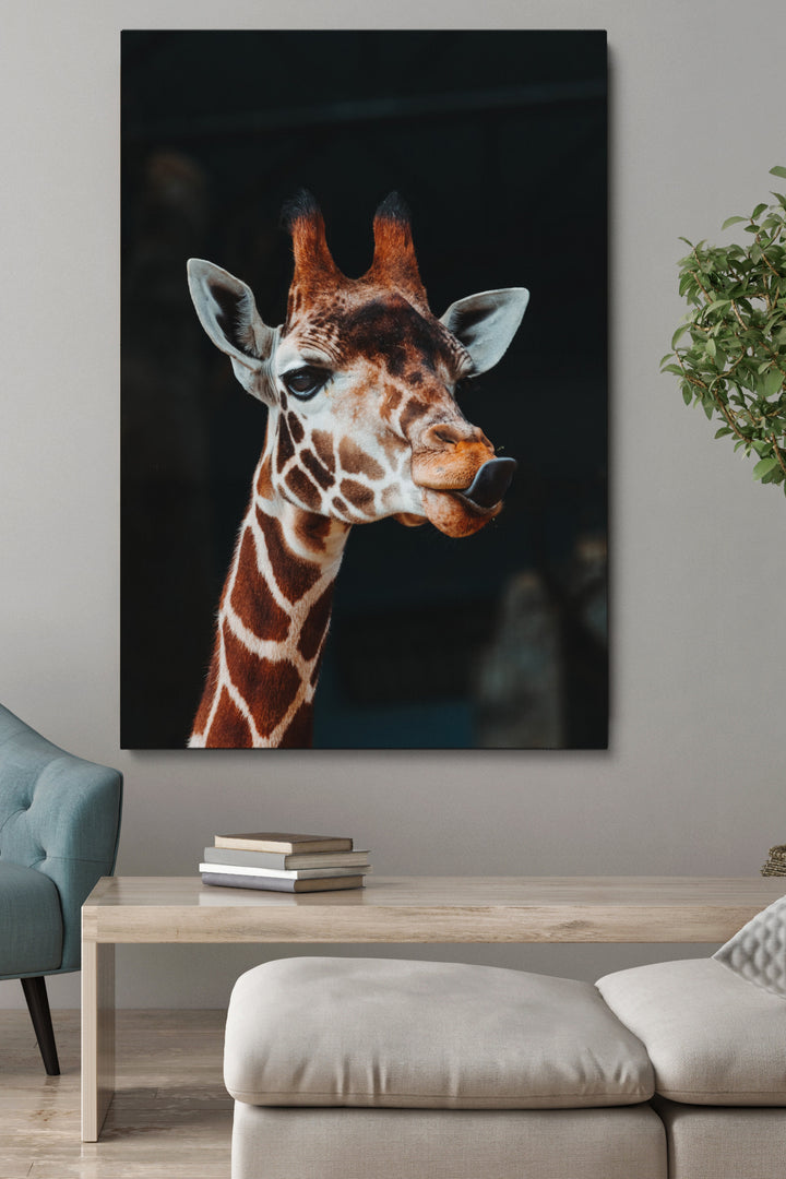 Giraffe Poking Tongue