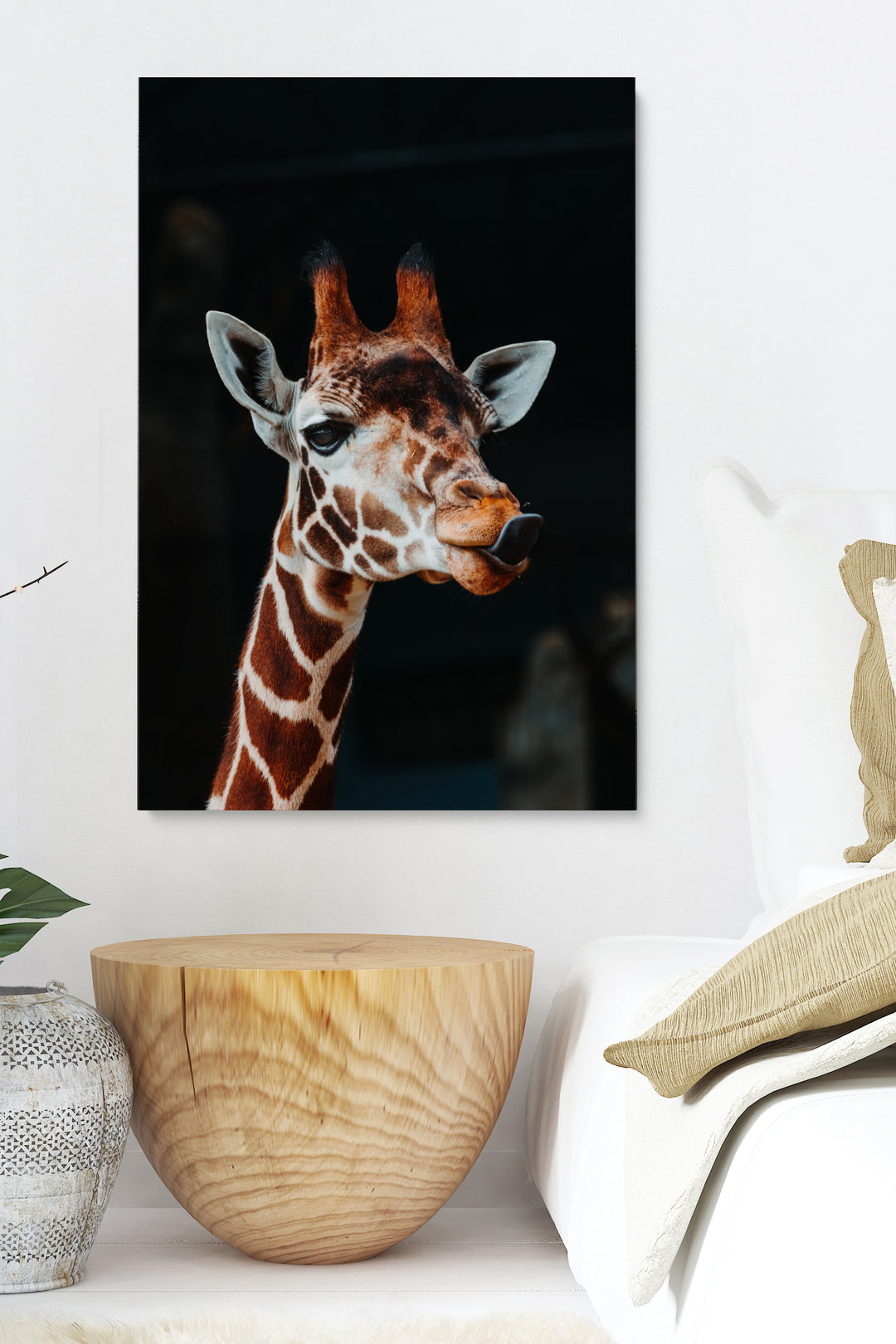 Giraffe Poking Tongue