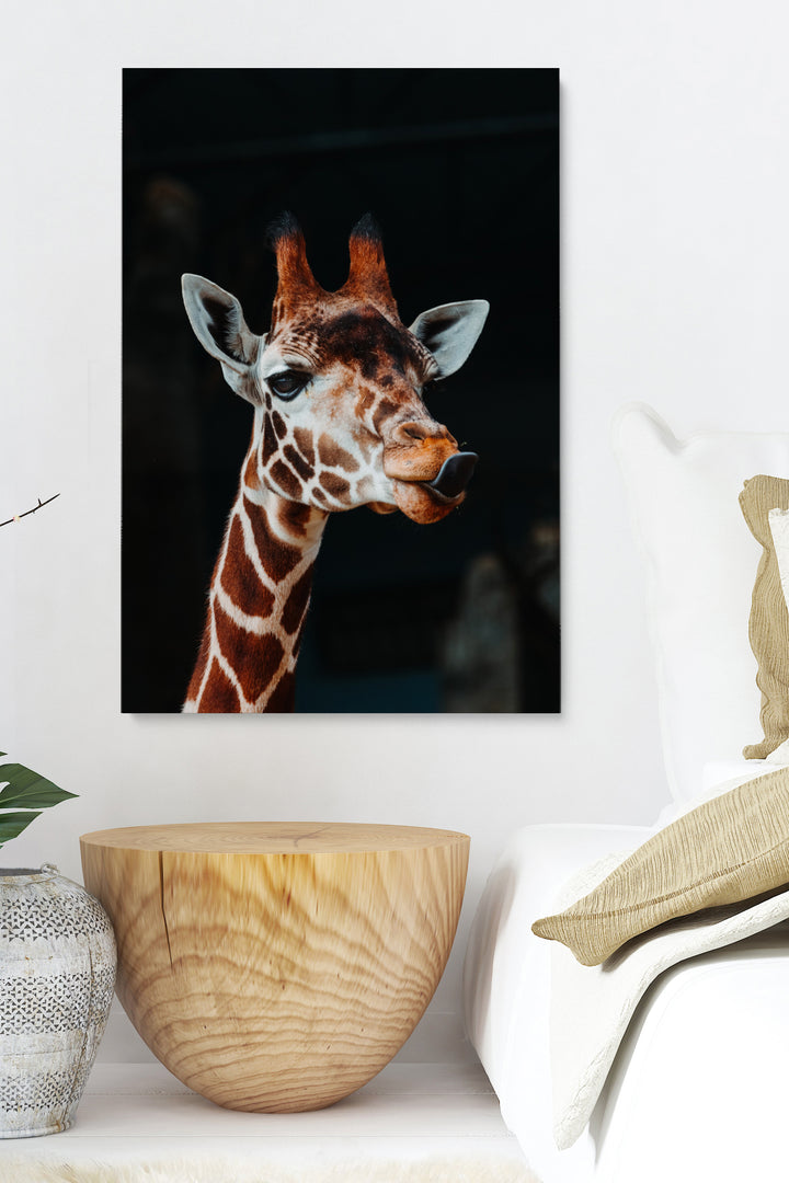 Giraffe Poking Tongue